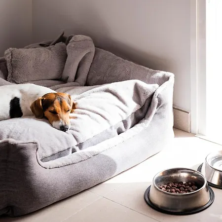 Sholeo Gigantes (adults Only) Hotel