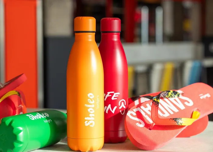 Sholeo Gigantes (adults Only)